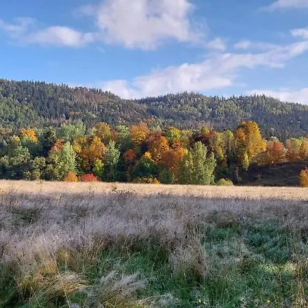 Pod Sudeckim Niebem *