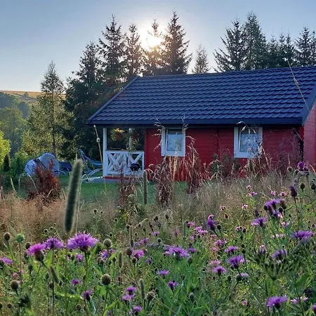 Pod Sudeckim Niebem * دوشنيكي زدروي